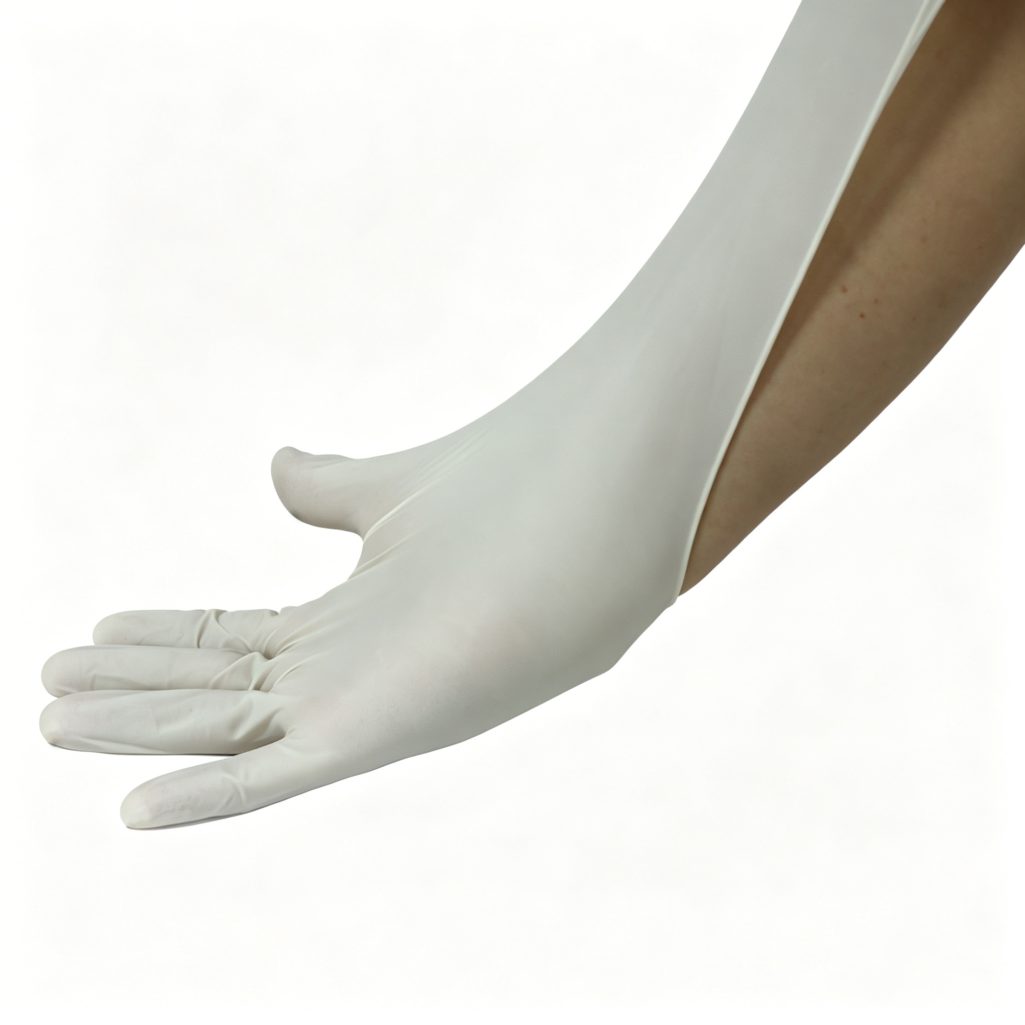Disposable medical rubber exam – Latex Disposable Glove Bewertung und Preis