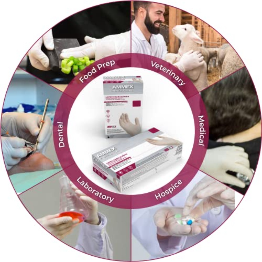 AMMEX White Latex Disposable E – Latex Disposable Glove Bewertung und Preis