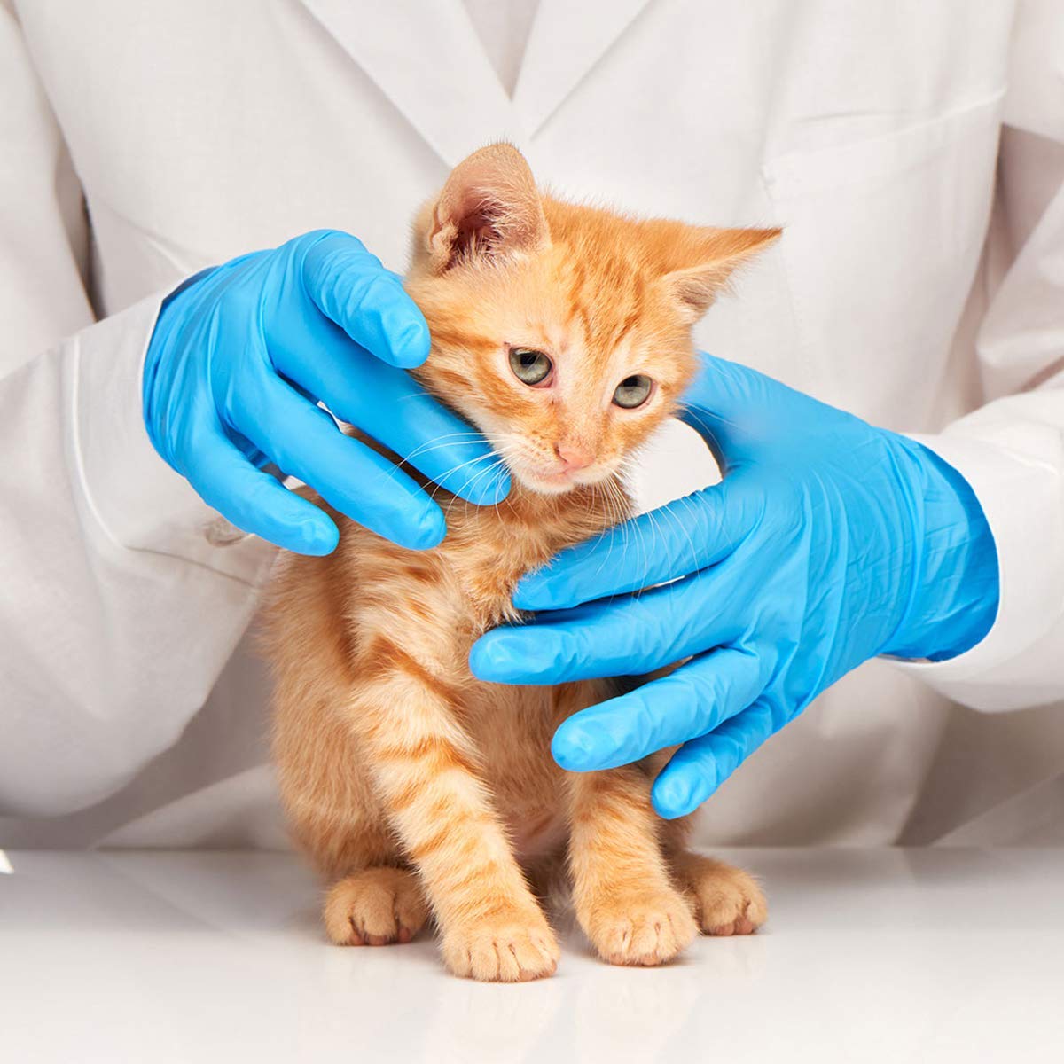 Latex-Free Blue Nitrile Exam G – Exam Glove Nitrile Bewertung und Preis